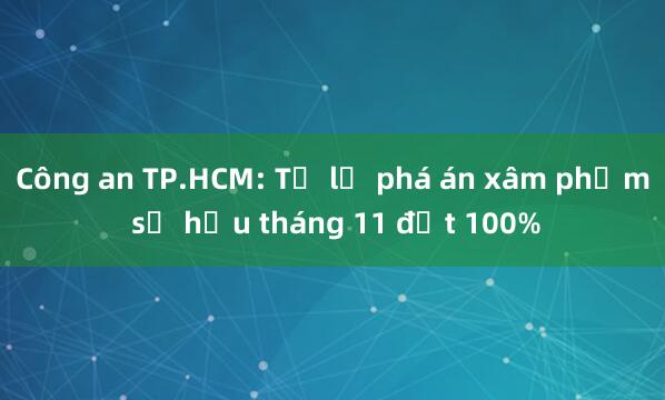 Công an TP.HCM: Tỉ lệ phá án xâm phạm sở hữu tháng 11 đạt 100%